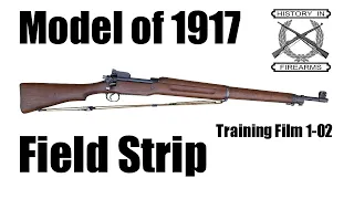 Model 1917 Field Strip (TF 1-02)