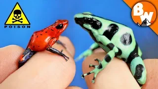 Which Poison Frog Can Kill You?