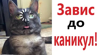 Лютые приколы. ЗАВИС ДО КАНИКУЛ!!! САМОЕ смешное видео! Засмеялся проиграл! - Domi Show!