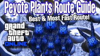 GTA Online Peyote Plants Route Guide With Map & Quick Strats To Maximise RP Farming