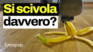 Si scivola davvero sulle bucce di banana? Ecco l'esperimento con il DeNa