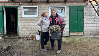 Все буде Україна! Маленька ферма Brown Swiss, ранок починається не з кави, котельня, корови...