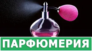 ИНТЕРЕСНЫЕ ФАКТЫ ПРО ДУХИ