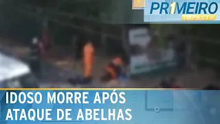 Idoso morre e outros 12 ficam feridos em ataque de abelhas | Primeiro Impacto (19/12/23)