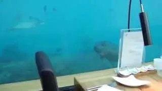 Мальдивы Подводный отель
