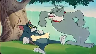 tom and jerry epi 53 p 1