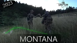 DIY Montana Elk Hunt | Public Land | Episode 1