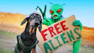 Earth is Closed Today! Cute & funny dachshund dog video!