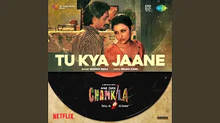 Tu Kya Jaane (From "Amar Singh Chamkila")