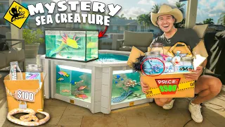 $100 vs $500 SEA CREATURE Mystery FISH Box For My SALTWATER PONDS! (shopping spree)