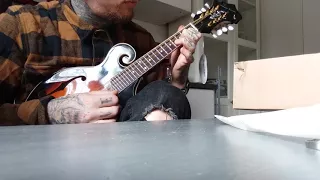 How does a Harley Benton HBMA-100VS mandolin from thomann sound like?