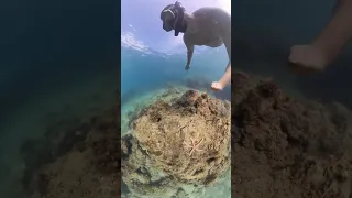 Snorkeling in Yanui Beach, Phuket - Under the sea 🐠