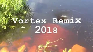 We Found a Water Vortex Remix 2018