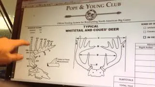HOW TO SCORE A WHITETAIL DEER | BOONE AND CROCKETT SYSTEM