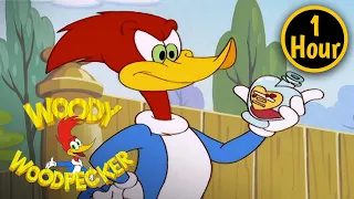 1 Hour of Woody Woodpecker Full Episodes | Love Is In The Air