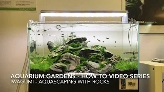 Iwagumi - How to Aquascape with rocks
