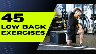 45 Exercises To Make Your Low Back Feel Better