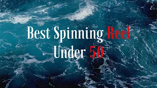 Affordable Best Spinning Reel Under 50