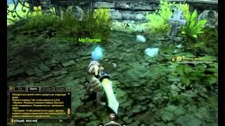 Dragon Nest часть 1 обучение