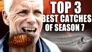 THE BEST Catches of Season 7! | COMPILATION | River Monsters