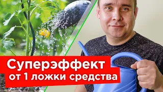 УБОЙНОЕ СРЕДСТВО ОТ БОЛЕЗНЕЙ И ВРЕДИТЕЛЕЙ - ТРИЛЛИОНЫ ПОЛЕЗНЫХ БАКТЕРИЙ И ГРИБОВ В 1 МЛ ПРЕПАРАТА!