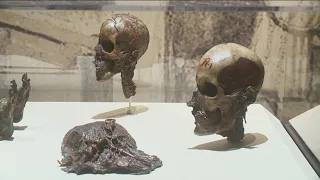 Real mummies assemble at Discovery Center of Idaho in Boise