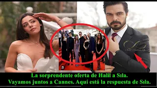 Halil's shocking offer to Sıla. Let's go to Cannes together.