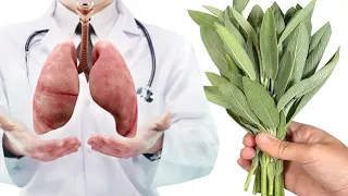 How to clear Mucus from your Lungs and Throat with phlegm removal! Sage