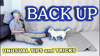 FUN and UNUSUAL tips and tricks for training BACK UP