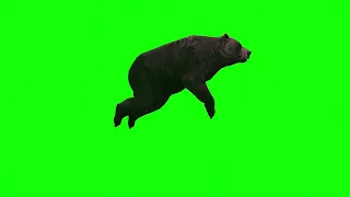 Green Screen Cocaine Bear￼ movie video effects