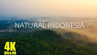 Natural Indonesia 4K / Природа Индонезии