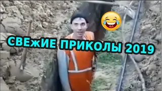 🤣😎 СМЕХ ДО СЛЕЗ | Gifs With Sound | ПРИКОЛЫ 2019 МАЙ #23