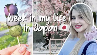 Week in my Life Japan 🍡✨ cherry blossoms, festivals + spring vibes🌸