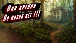 Заброшенная деревня с огромной историей, какие красивые и крепкие кирпичные дома!!