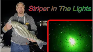 Striper Fishing Dock Lights At Night!! - NON STOP ACTION!!!