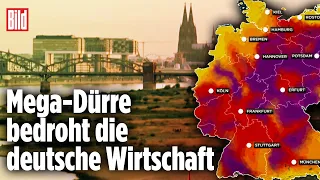 Wassernot in Deutschland: Die Folgen durch Trockenheit sind dramatisch