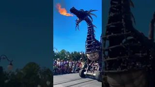 #shorts #dragon #fire #disney #parade #fantasy #vacation