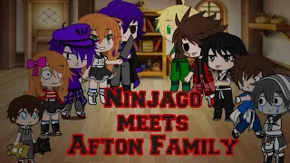 Ninjago meets The Afton Family//part 1//read description