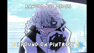 1 minute and 33 seconds of BSD memes ✨