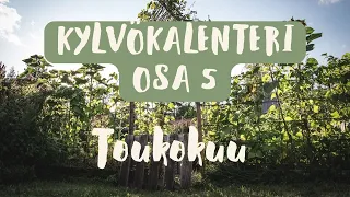 KYLVÖKALENTERI TOUKOKUU - Mitä kylvää toukokuussa? - Omavarainen vegaani