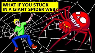 What If You Get into the Biggest Spider Web in the World