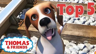 Thomas & Friends™ | Animals! | Thomas Top 5 | Best of Thomas Highlights | Kids Cartoon