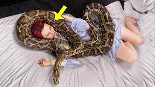 Woman Sleeps With A Snake Every Night, Then Her Vet Reveals A Shocking Truth!