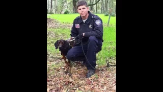 Hero Louisiana Police Dog Finds Missing 14 Year old Child with Autism