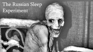 Let's Listen: The Russian Sleep Experiment