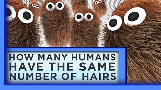 How Many Humans Have the Same Number of Body Hairs? | Infinite Series | PBS Digital Studios