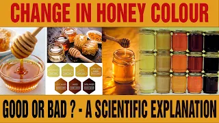 Change In Honey Colour , Good Or Bad ? - The Science Behind the Colour Of Honey