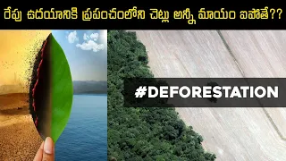 What Happens if we Cutdown all trees in the world? | Deforestation | Subscribe | Vitamin D'