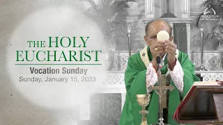 The Holy Eucharist - Sunday - January 15 | Archdiocese of Bombay