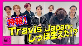 【特報】Travis Japanにしっぽ生えた!?⚡️誰にカミングアウトするの!?【CDTV】